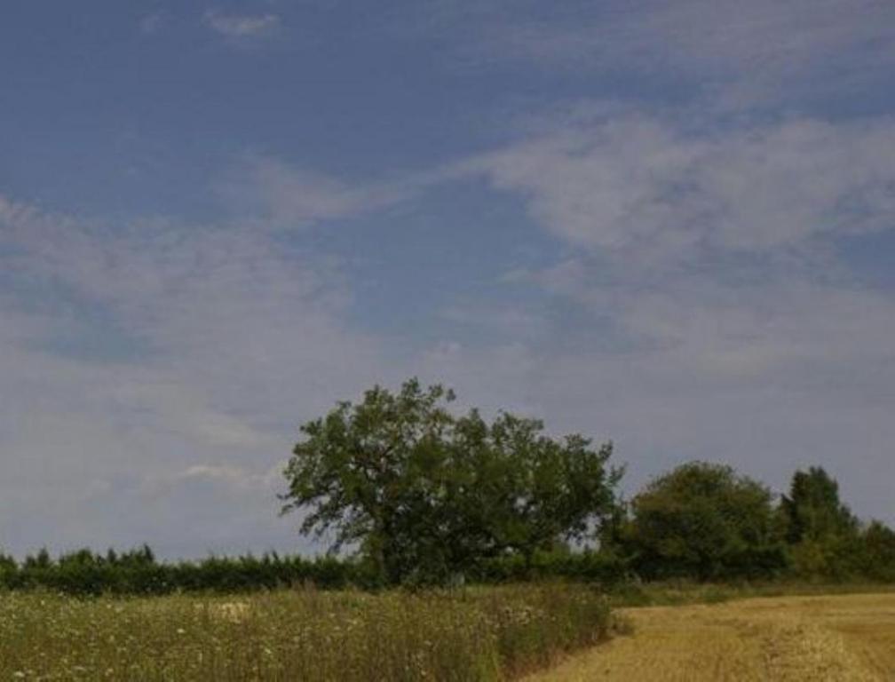 Le Clos Du Murier Chassignelles Bagian luar foto